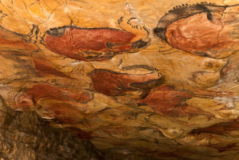 Cuevas de Altamira. Museo de Altamira y D. Rodríguez, del Arte Rupestre una vista del techo la cueva donde se observa una muestra de pintura prehispanica