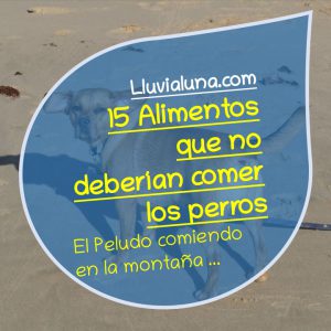 15 Alimentos que no deberían comer los perros