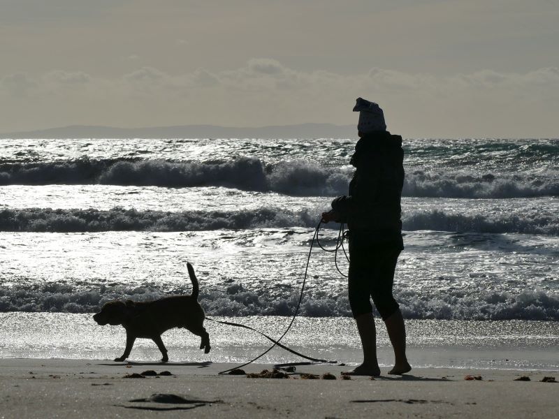 El Peludo y yo en el mar