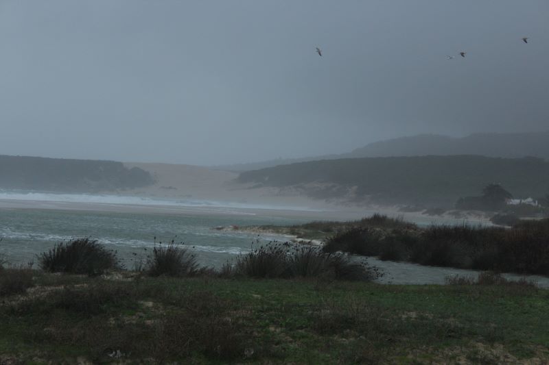 Bolonia- Tarifa