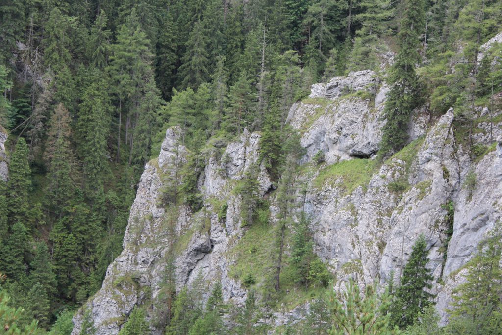 una de las vistas mas bonitas de este parque nacional, hermosa vista de la montaña y un pequeño rio debajo de los majestuosos arboles. esta vez hacia las rocas