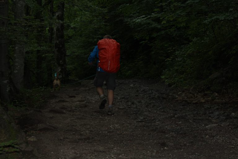 Un chico con su perro subiendo la montaña