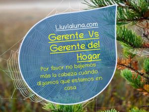 Lee más sobre el artículo Gerente Vs Gerente del Hogar