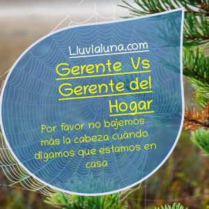 Gerente Vs Gerente del Hogar