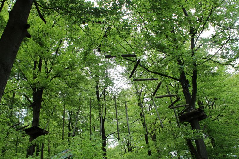 Wildpark Heigenbrücken para subirse con los niños