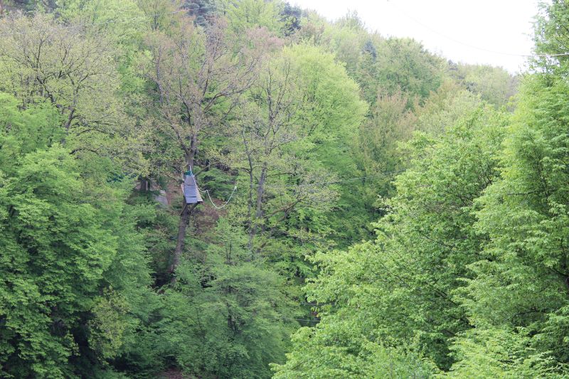 Wildpark Heigenbrücken para subirse con los niños