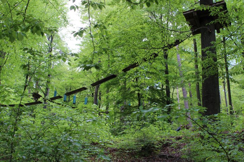 Wildpark Heigenbrücken para subirse con los niños