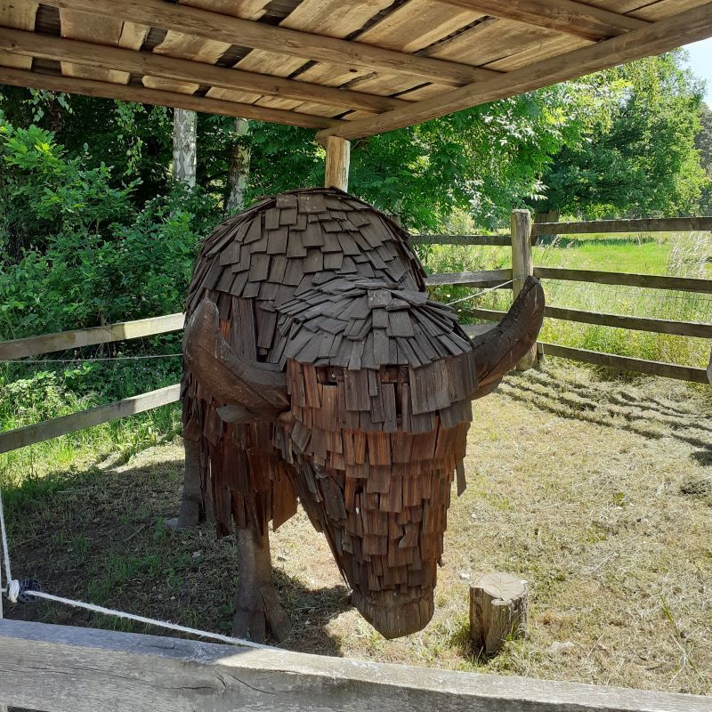 Bisonte de Madera en un Zoo