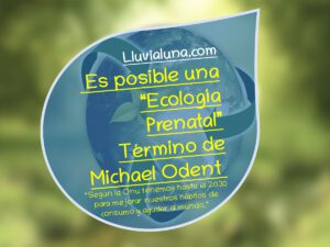 Lee más sobre el artículo Es posible una “Ecología Prenatal” Término de Michel Odent.